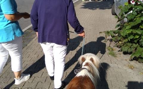Seniorin mit Pony