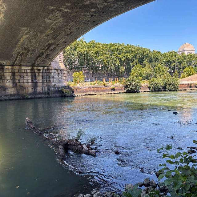 Tiber in Rom