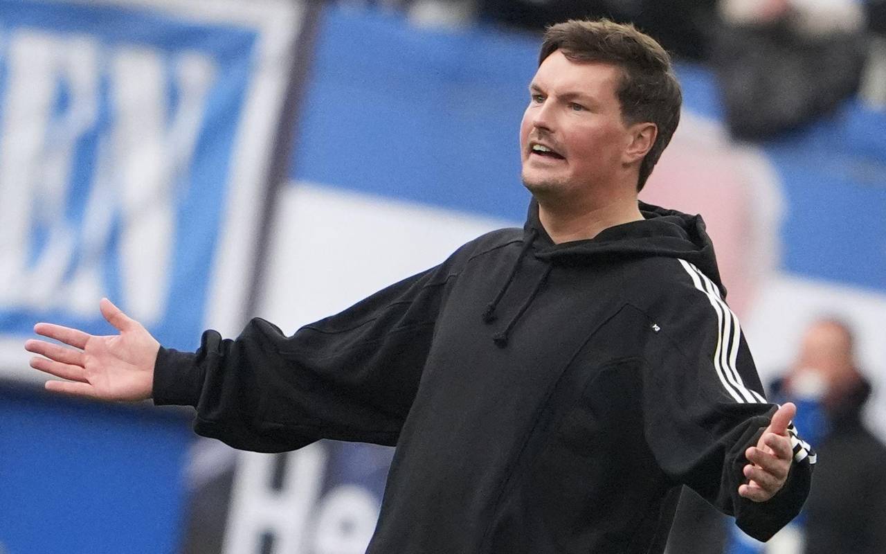 Hamburger SV - VfL Wolfsburg