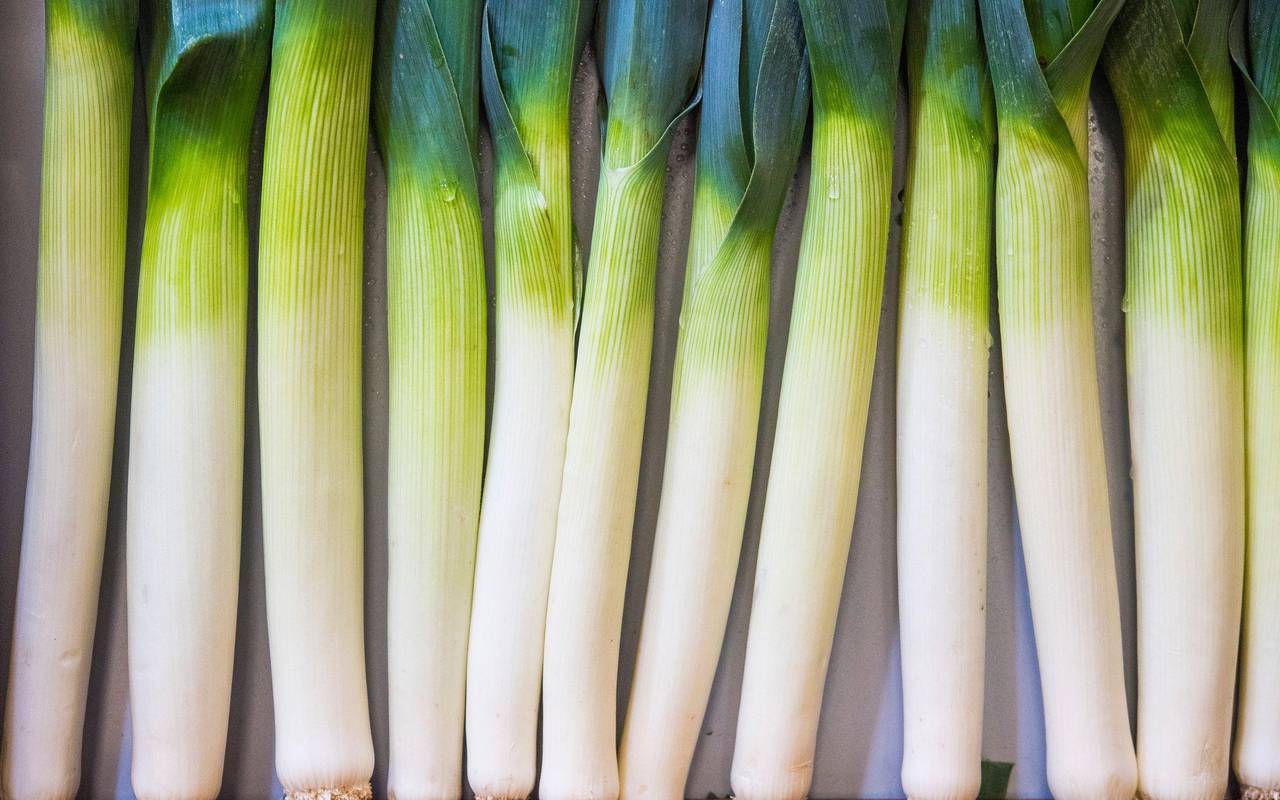 Lauchstangen liegen in ener Kiste
