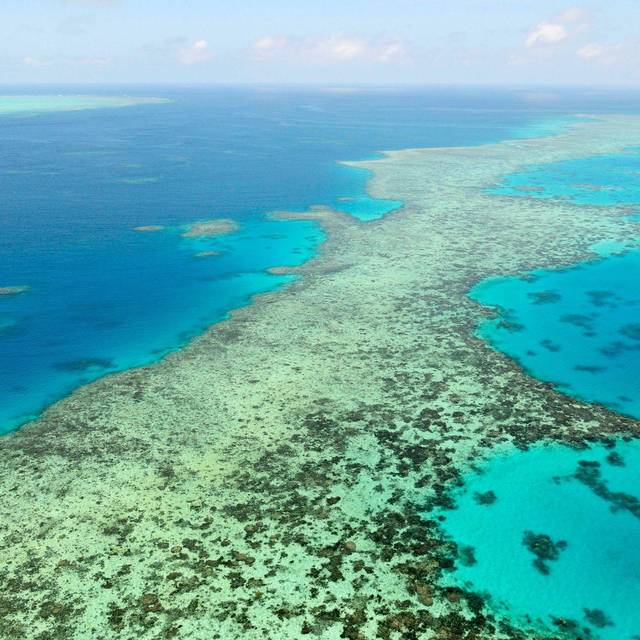 Great Barrier Reef in Australien