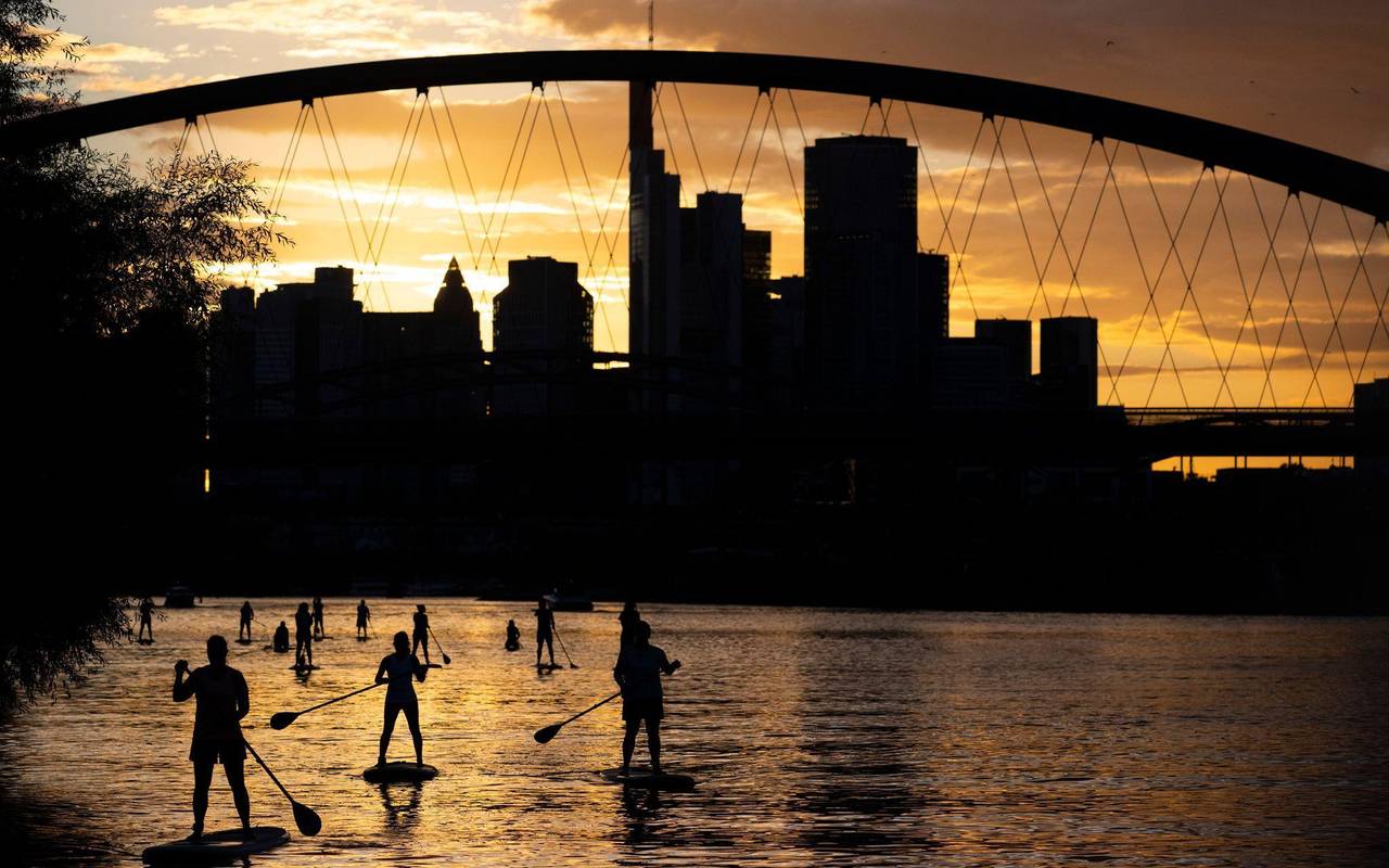 Stand-Up-Paddling auf dem Main