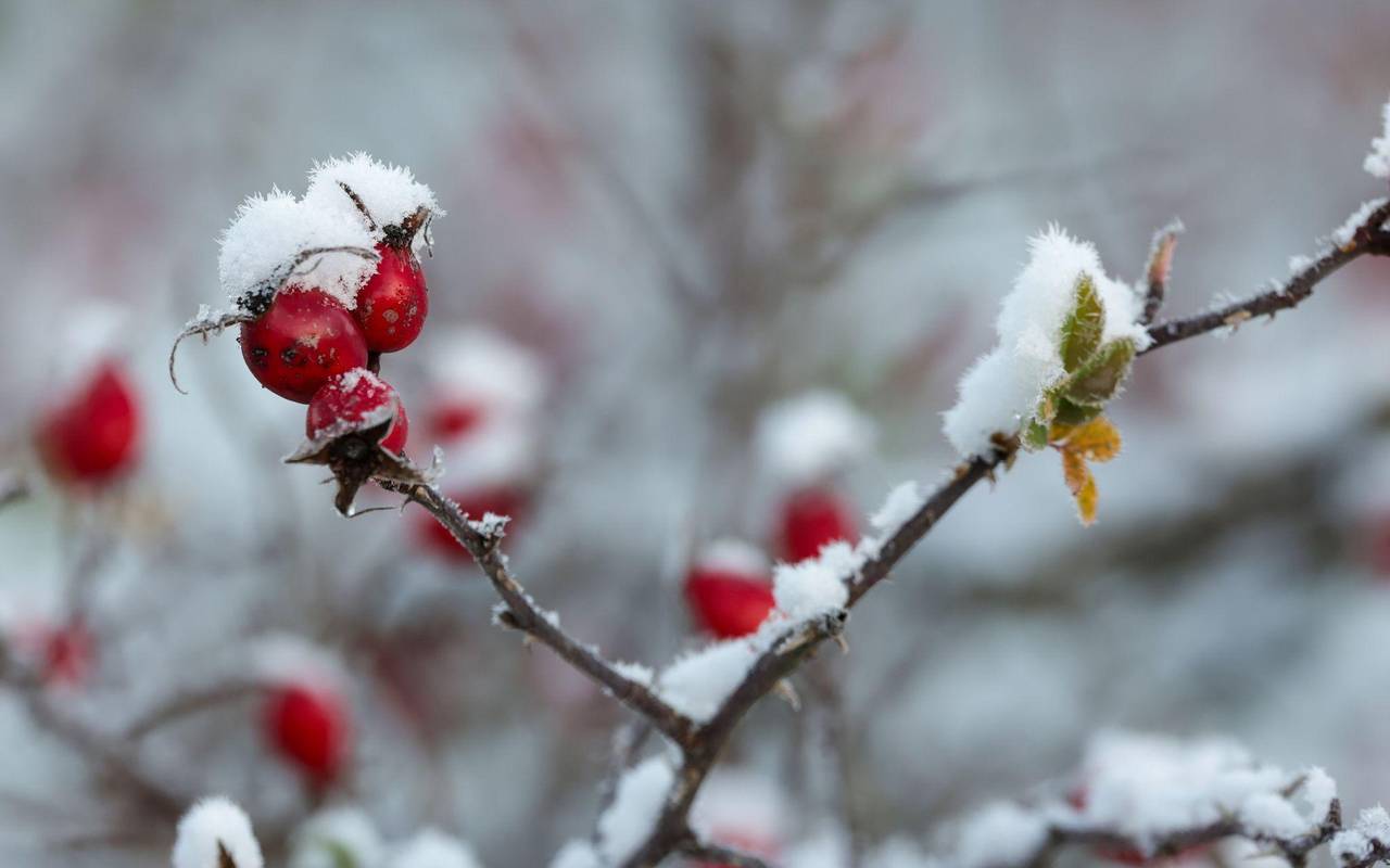 Wetter in Baden-Württemberg