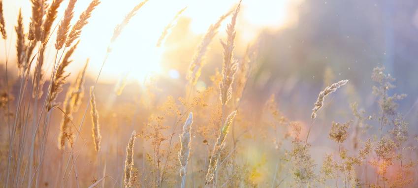 Hagener Sommer (mal) nicht zu trocken