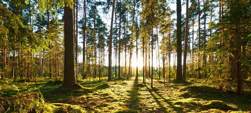 Jagdausbildung beim Hegering Haspe