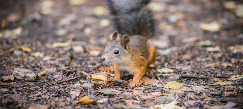 Fast schon wieder Herbst