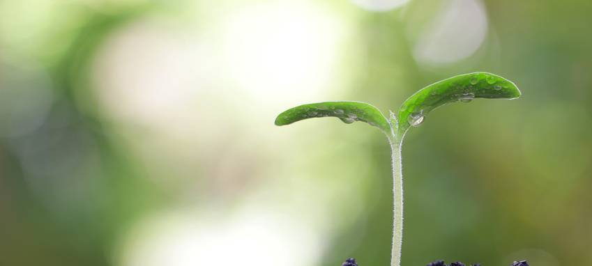 Grünes Licht für neues Wohnen