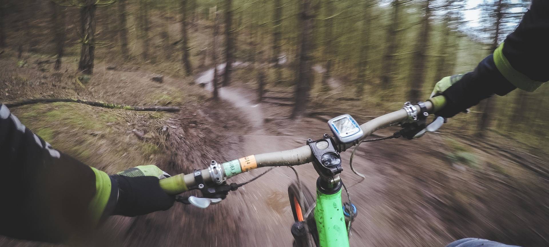 Wirtschaftsentwicklung und Biker planen Trails in Hagens Wäldern