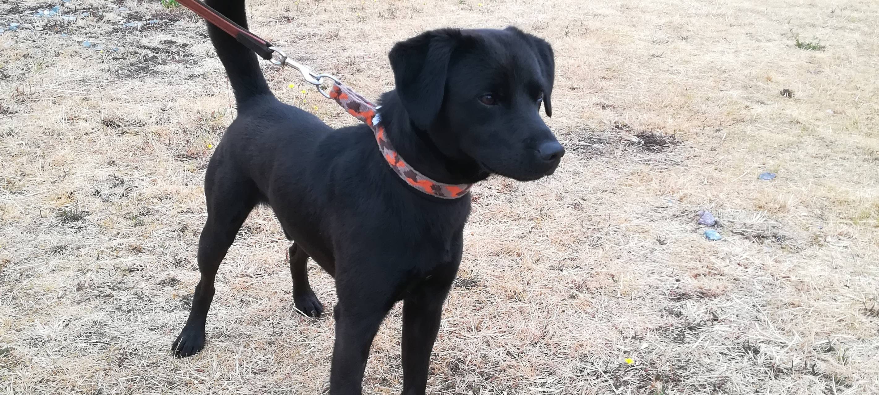 Unser Tier der Woche: Karlchen