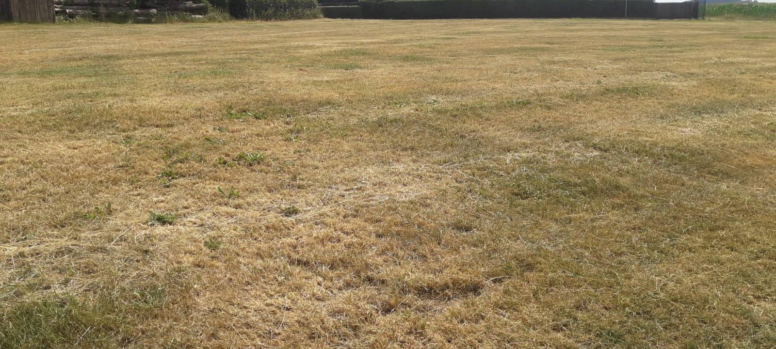 zu trocken und zu heiß