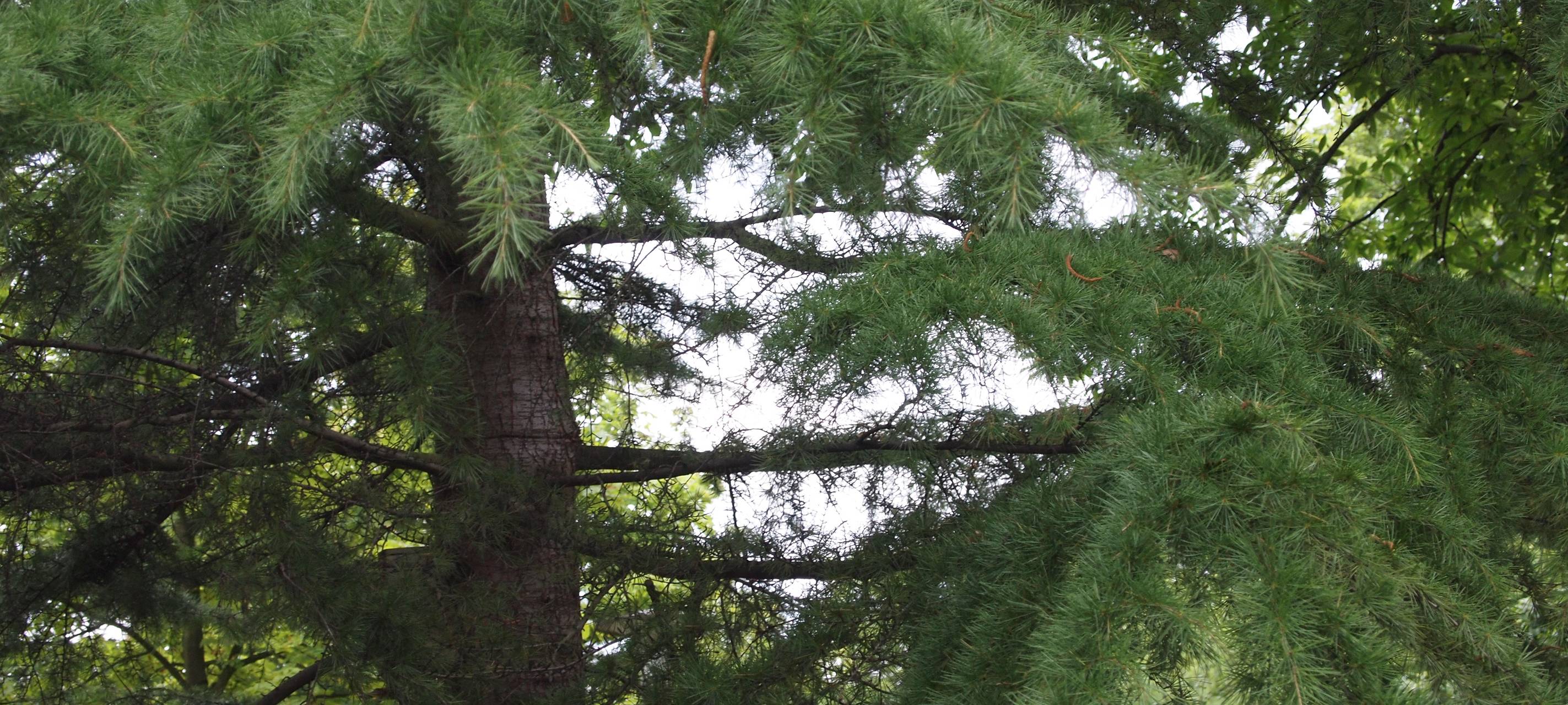 Folges des Klimawandels