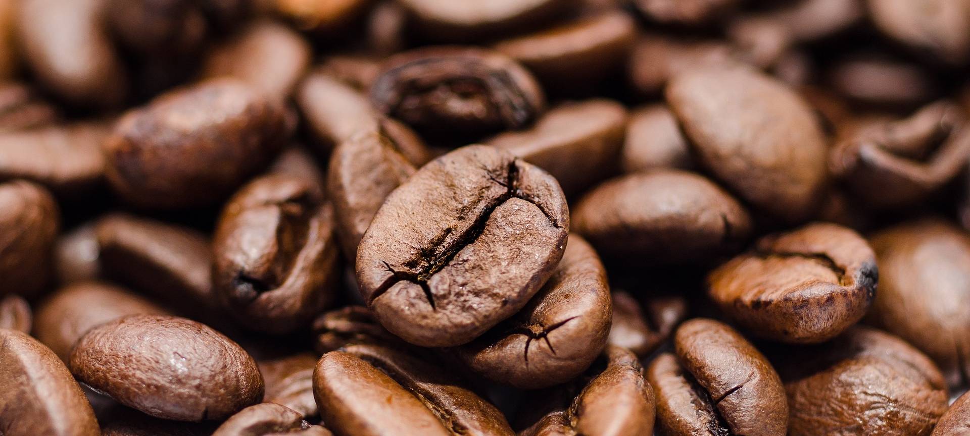 Kaffee für den Quambusch