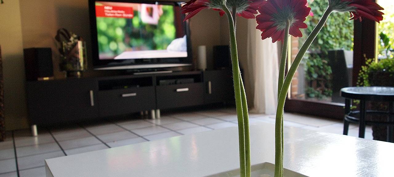 Wohnungen werden für Studenten immer teurer