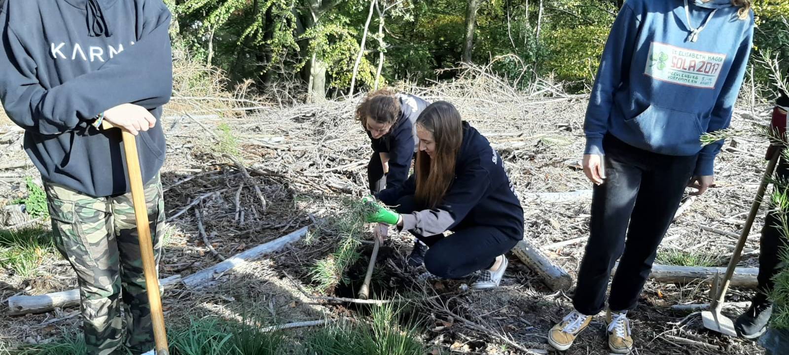 Fridays for Future und Jagdbeirat pflanzen Bäume