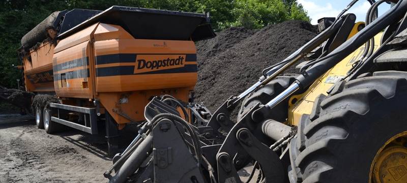 Gold für den Garten