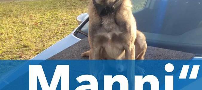 Polizei-Veteran geht in Rente