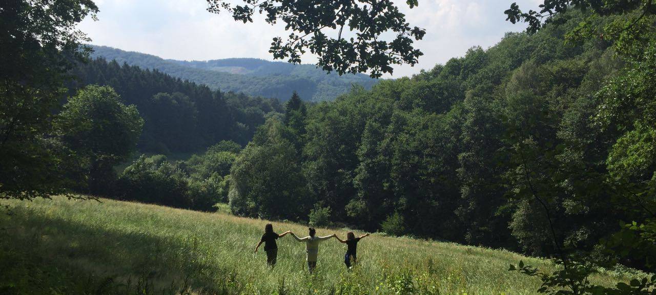 De Myns Rechnung und der Wald: lauwarme Antwort