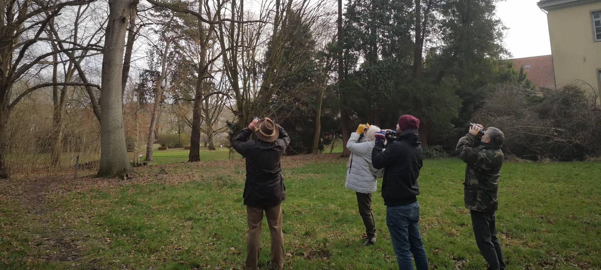 Stunde der Wintervögel