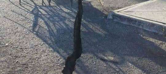 Haiti - Zehn Jahre danach