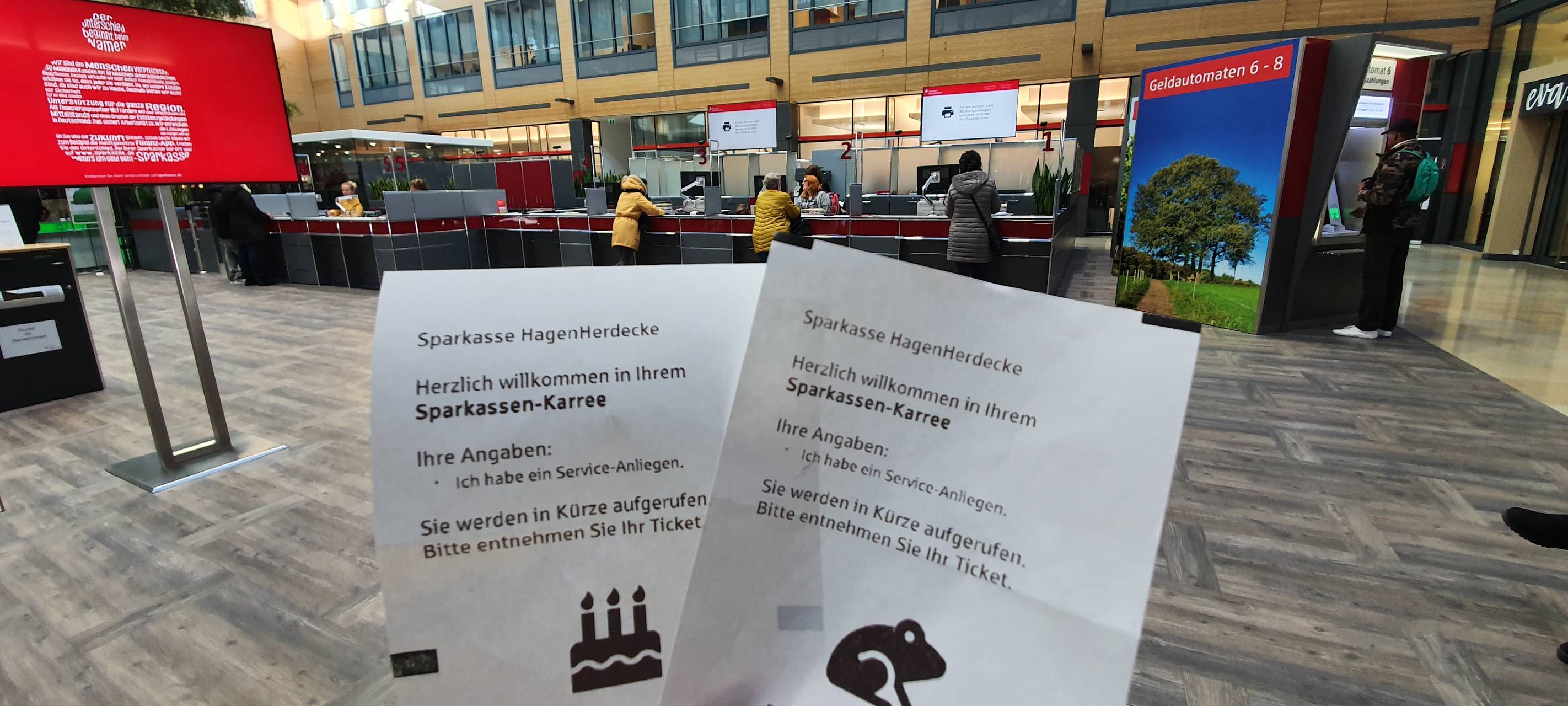 Warte-Frosch statt Warteschlange in der Sparkasse