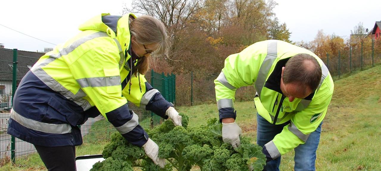 SIHK zu PCB-Belastung