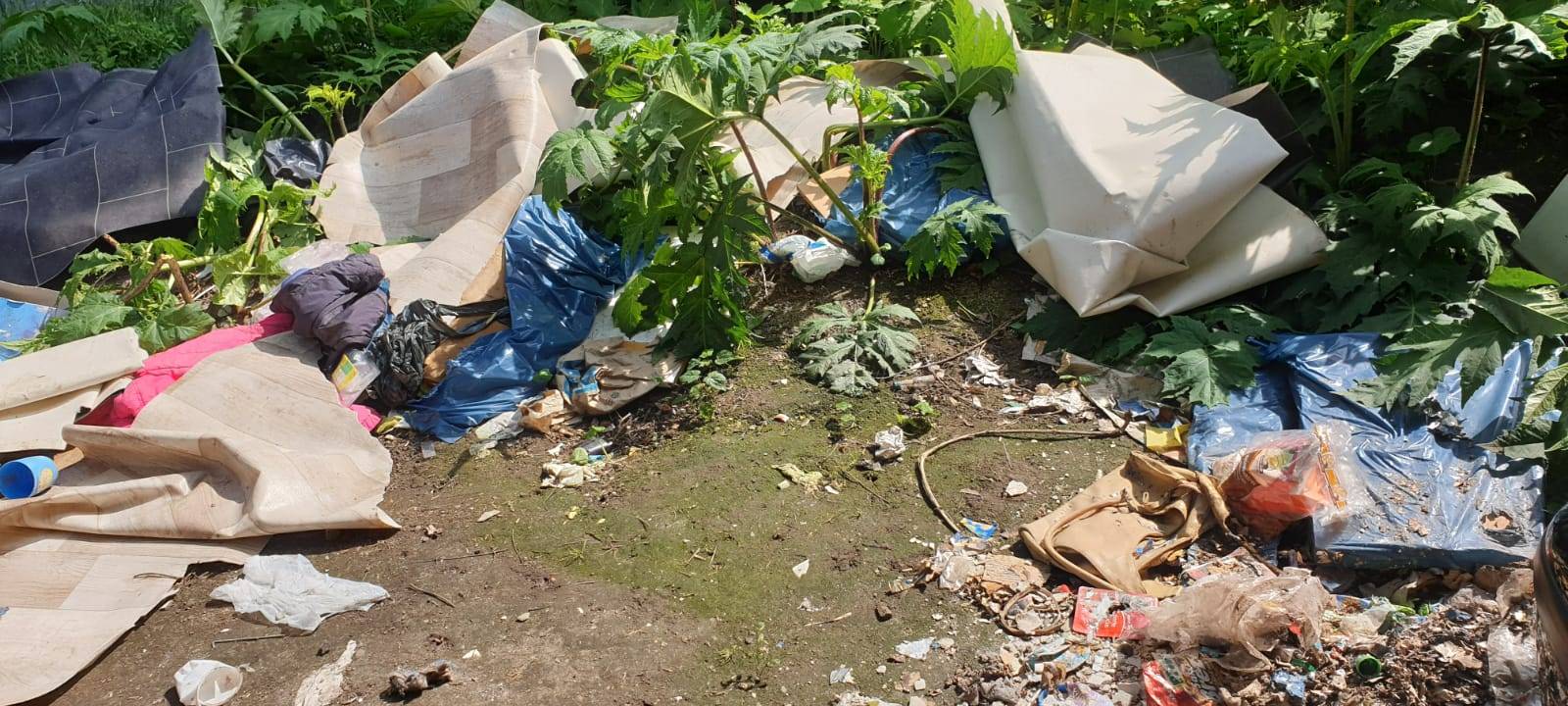 Wastewatcher machen weiter