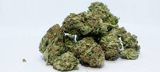 Auf frischer Tat ertappt