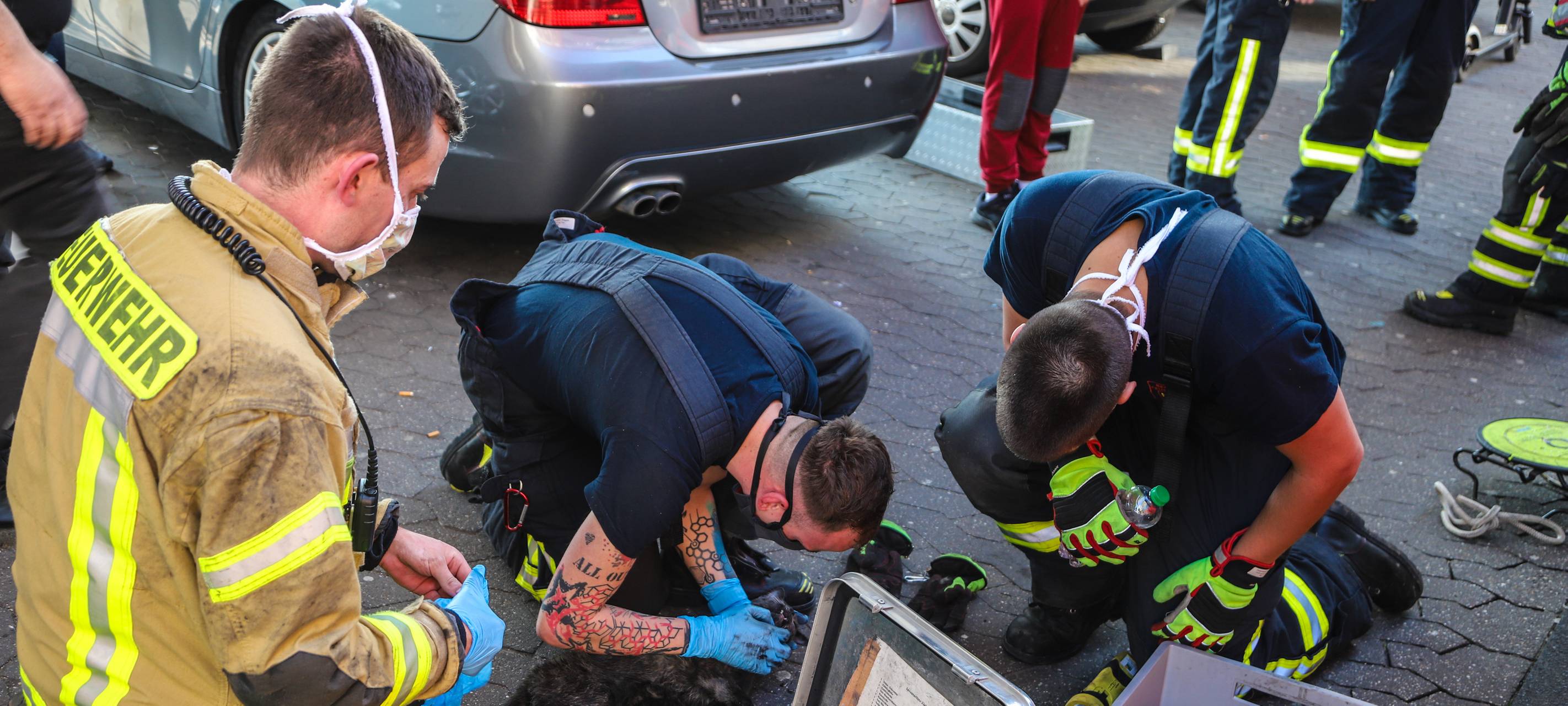 Hagener Feuerwehr befreit Katze aus Motorraum