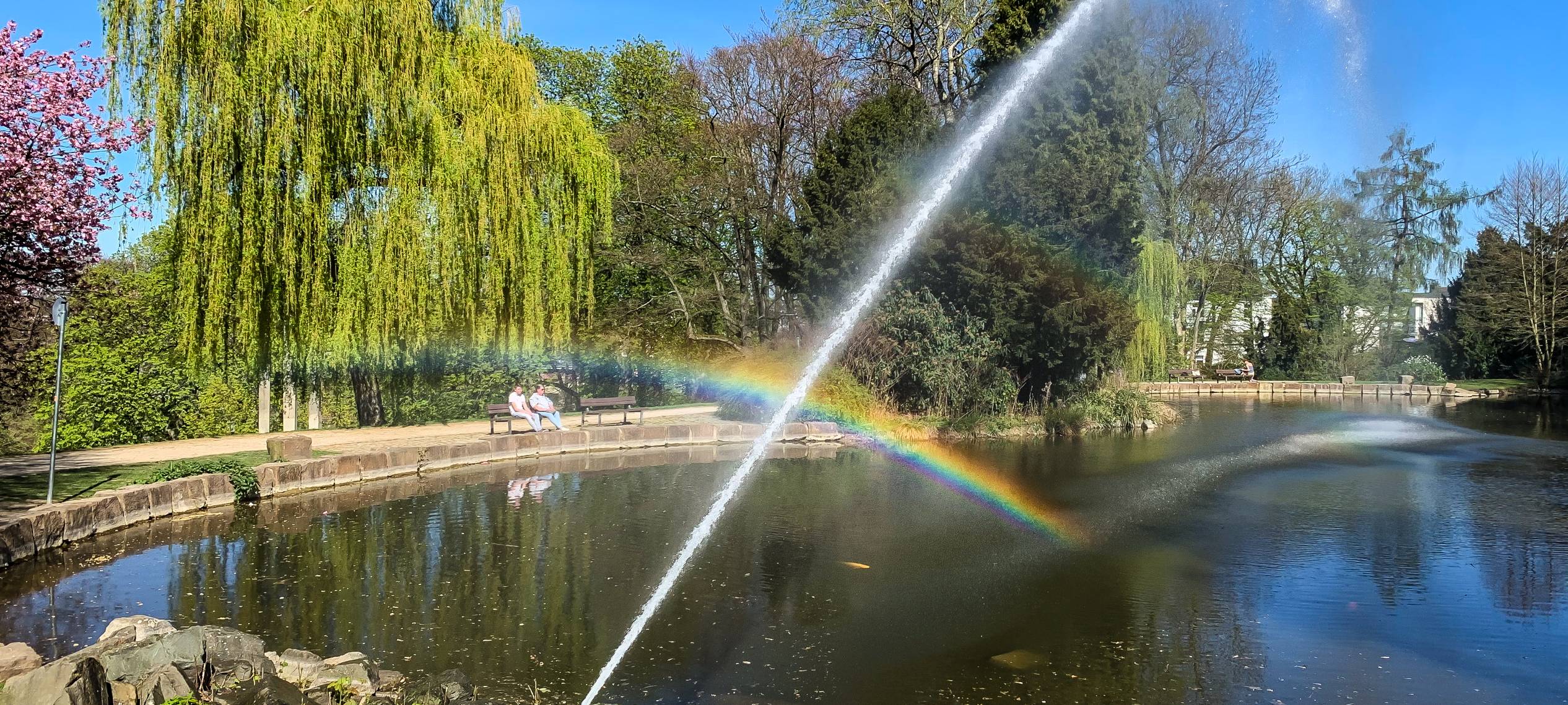 Feuerwehr rettet Fische