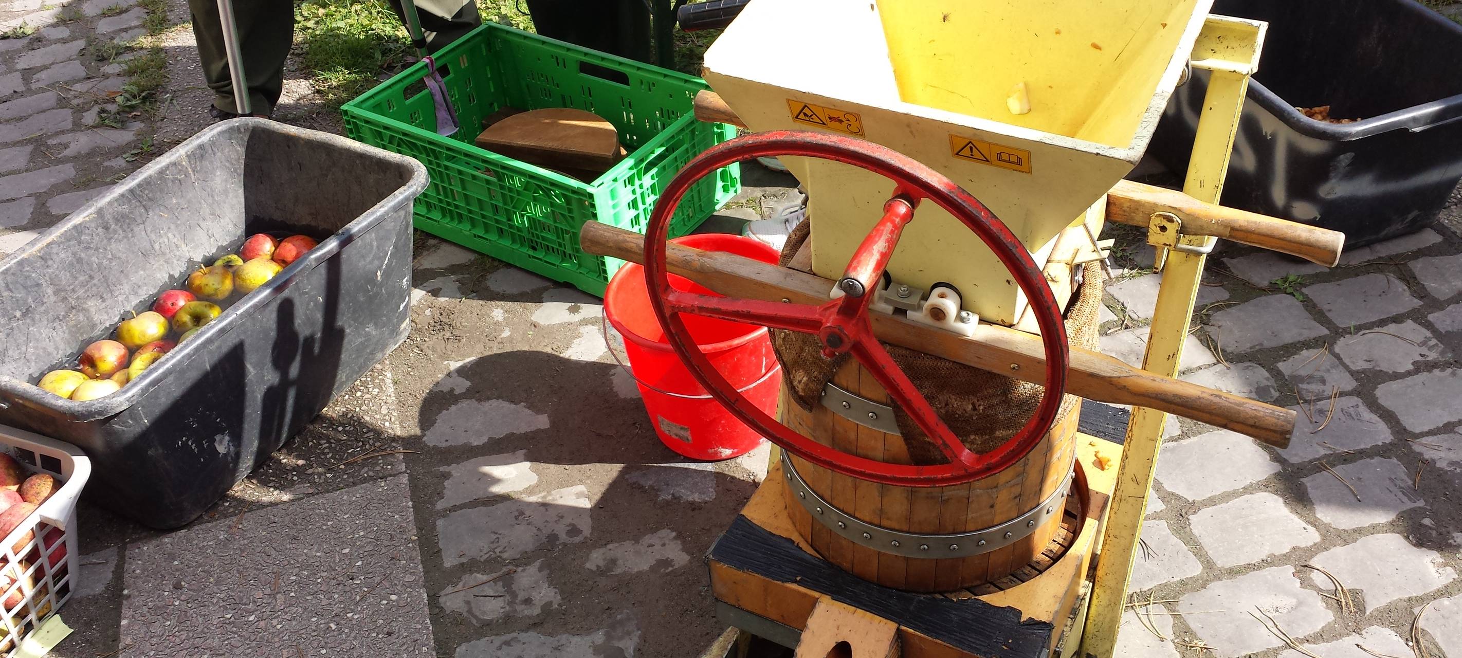 Biologisch >Station hat BuFdiplätze