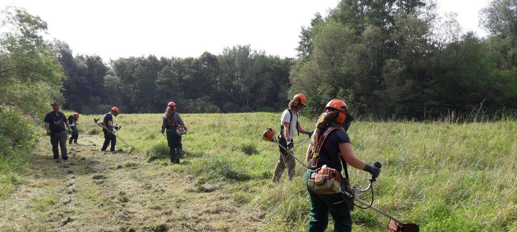 Naturschutz-Bufdis gesucht