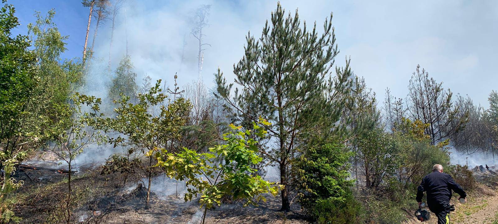Waldbrand in der Selbecke