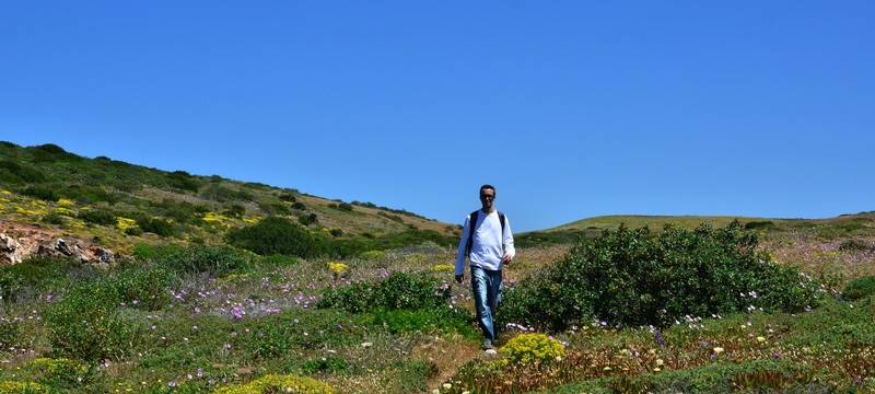 Rückschlag für Wikinger