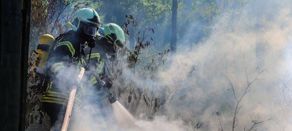 Waldbrandgefahr gestiegen