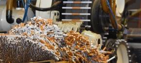 Illegale Zigarettenfabrik