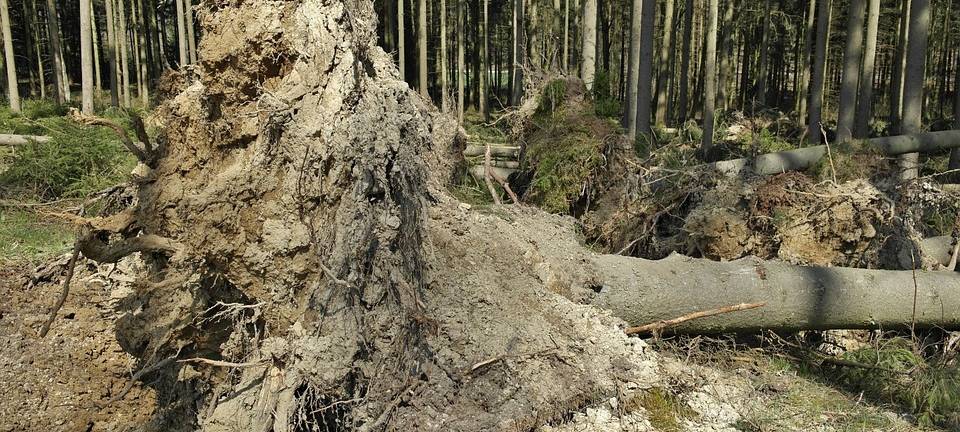 Bilanz: Hagener Sturmtage