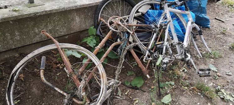 Sportfischereiverein säubert die Volme