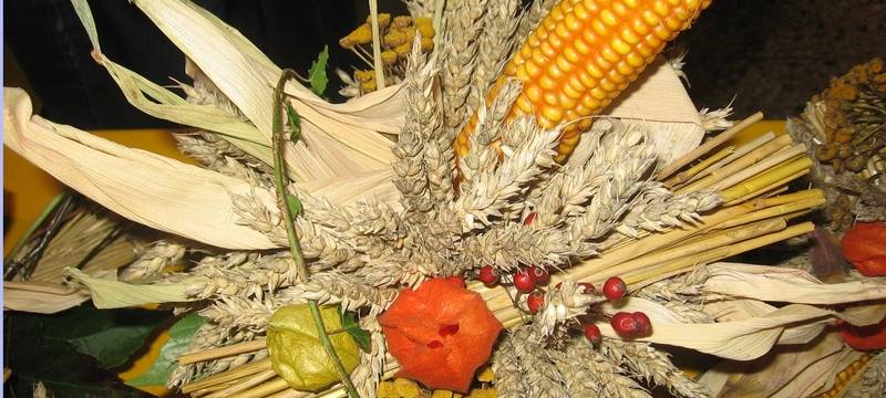 Bauernmarkt in Hohenlimburg
