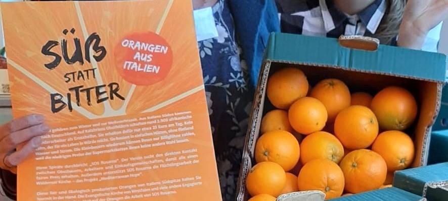 Fairtrade Orangen - AllerWeltHaus unterstützt Projekt in Süditalien