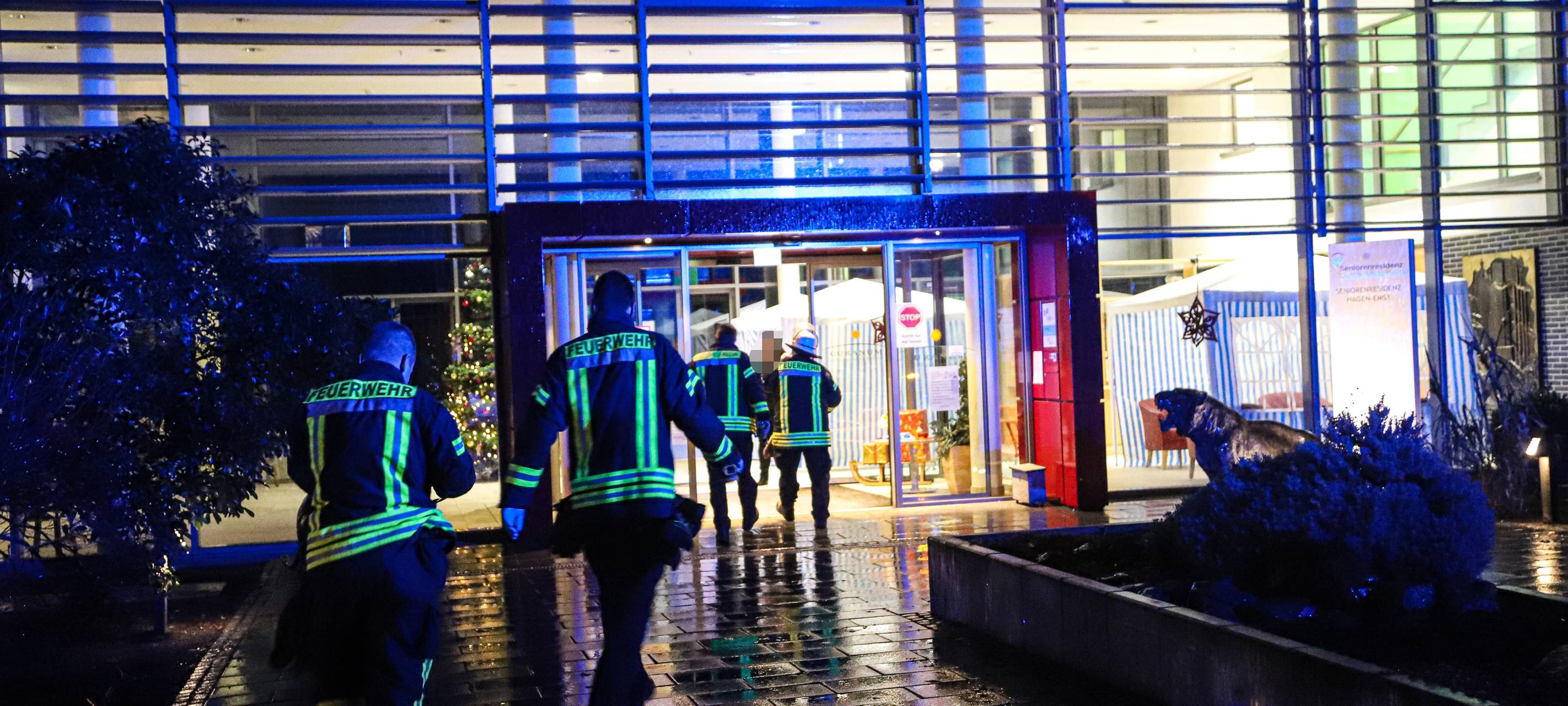 Vermisster Senior tot in Teich entdeckt