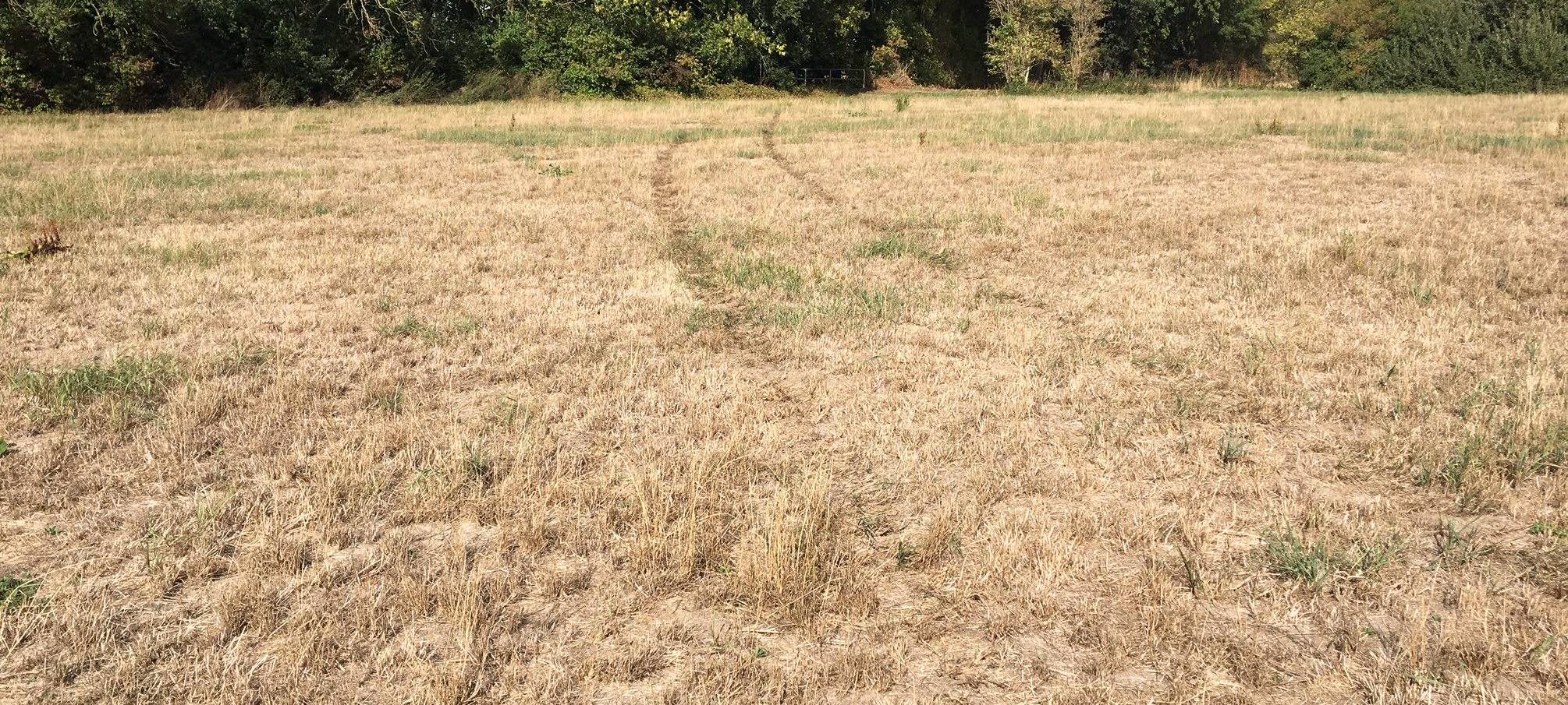 Landwirtschaft zieht Bilanz