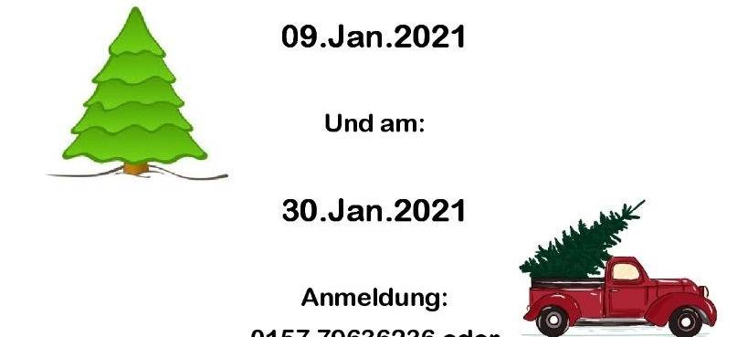 Weihnachtsbaumaktion des VCP