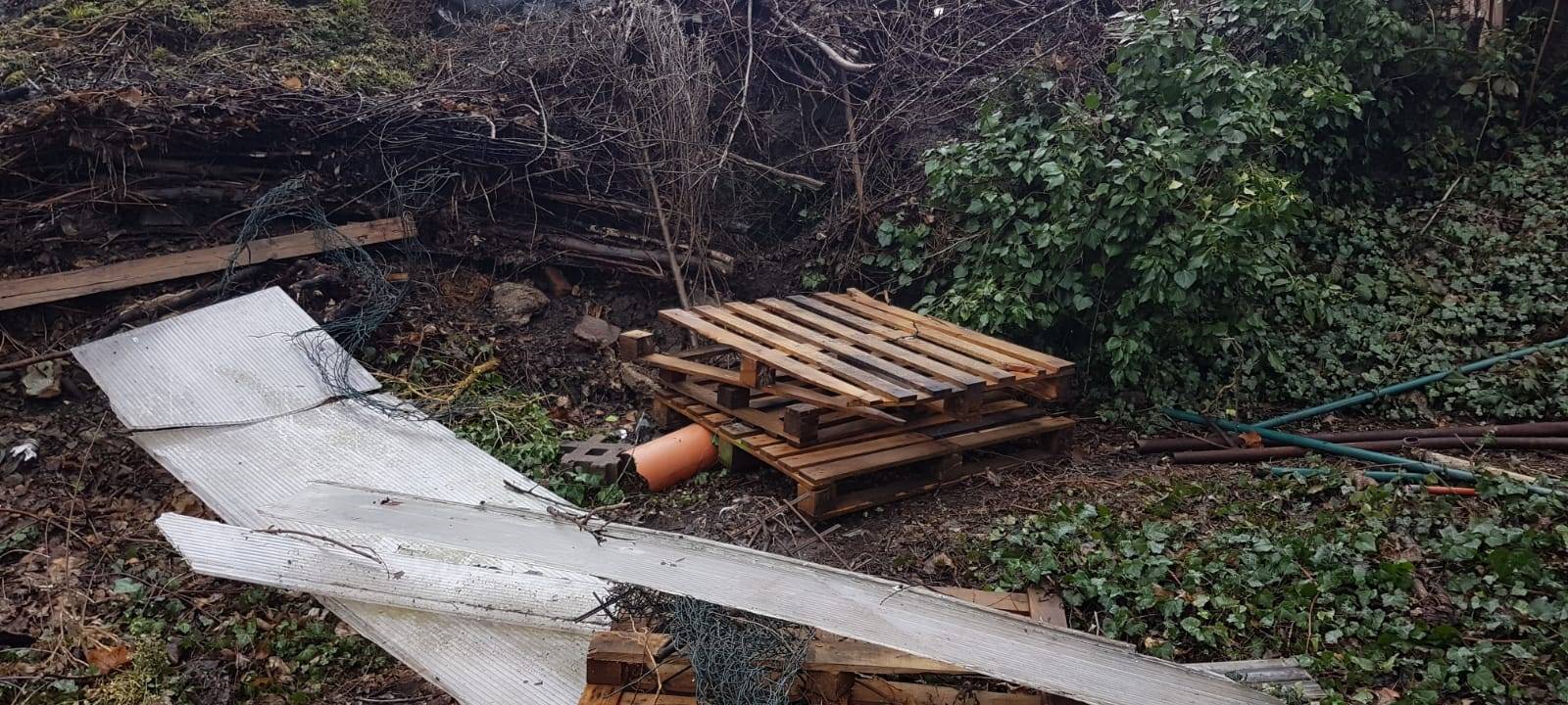 Angler machen sauber