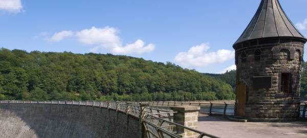 Brennholz zum Abholen