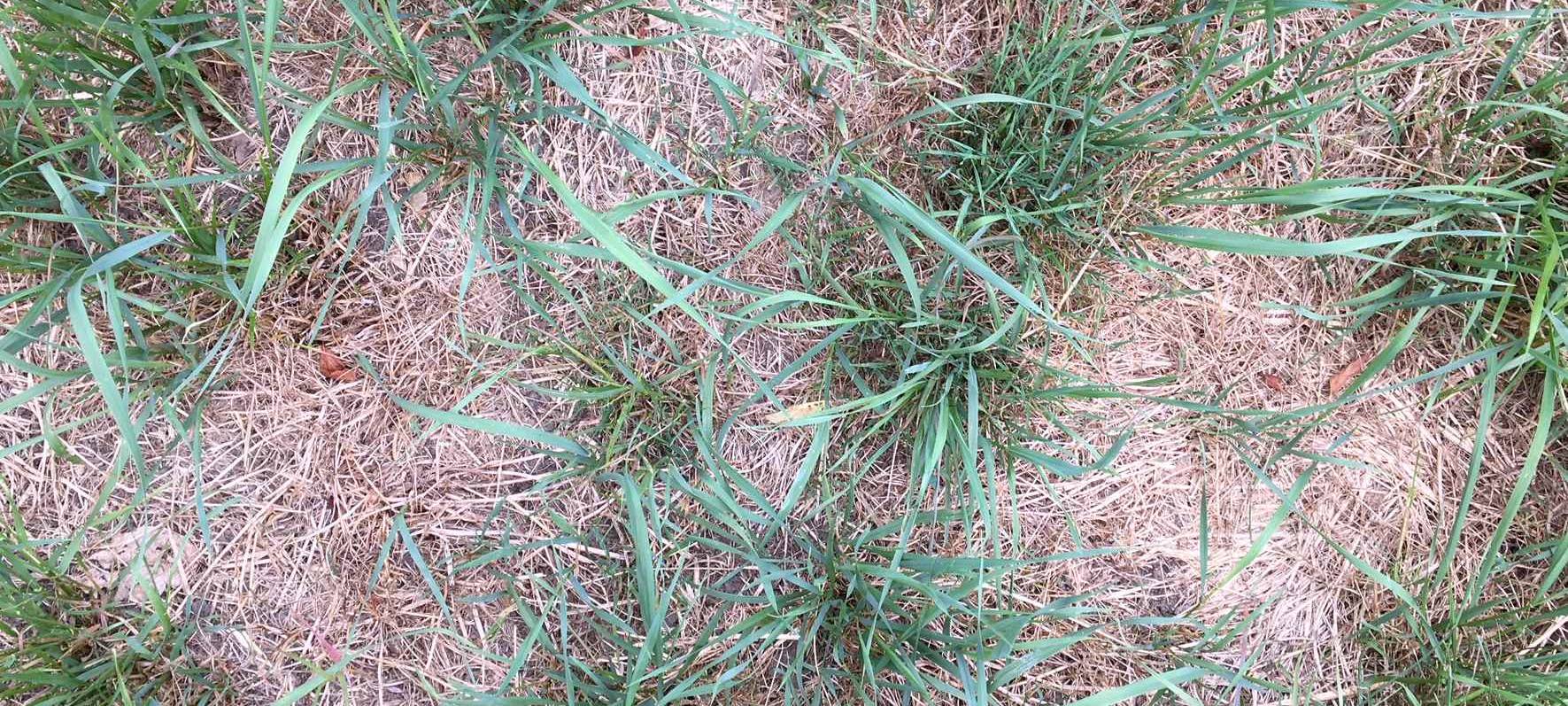 Landwirte blicken auf 2021