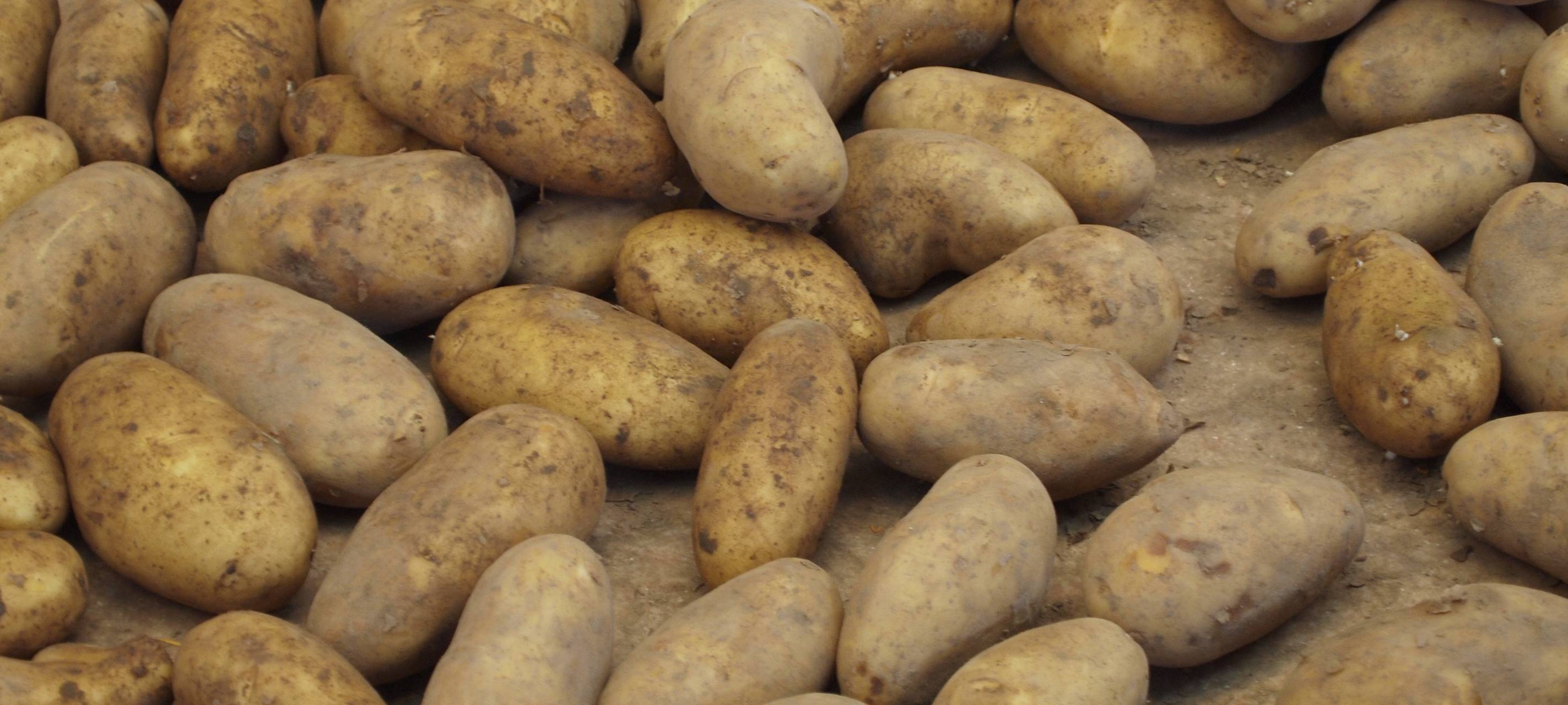 Essverhalten während Corona