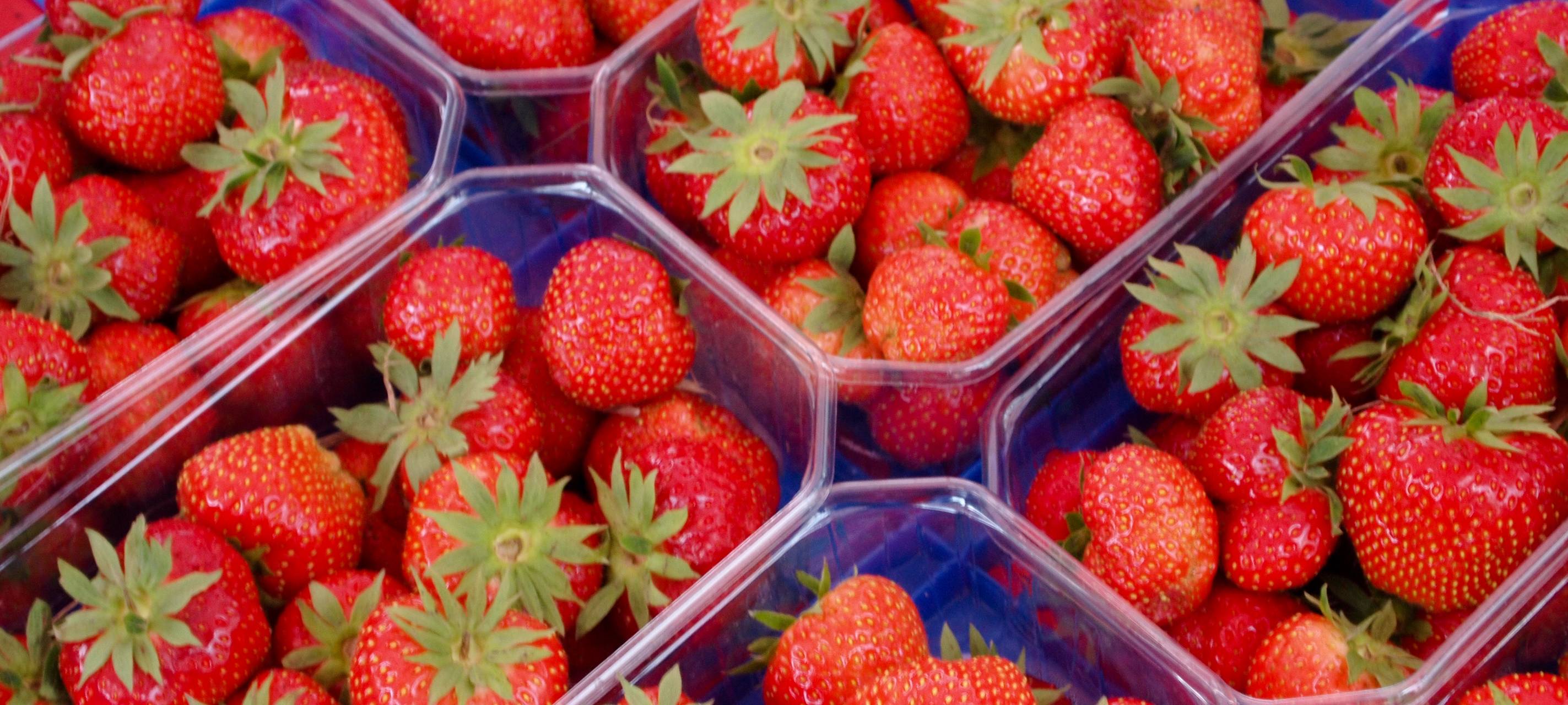 Erdbeerernte für alle