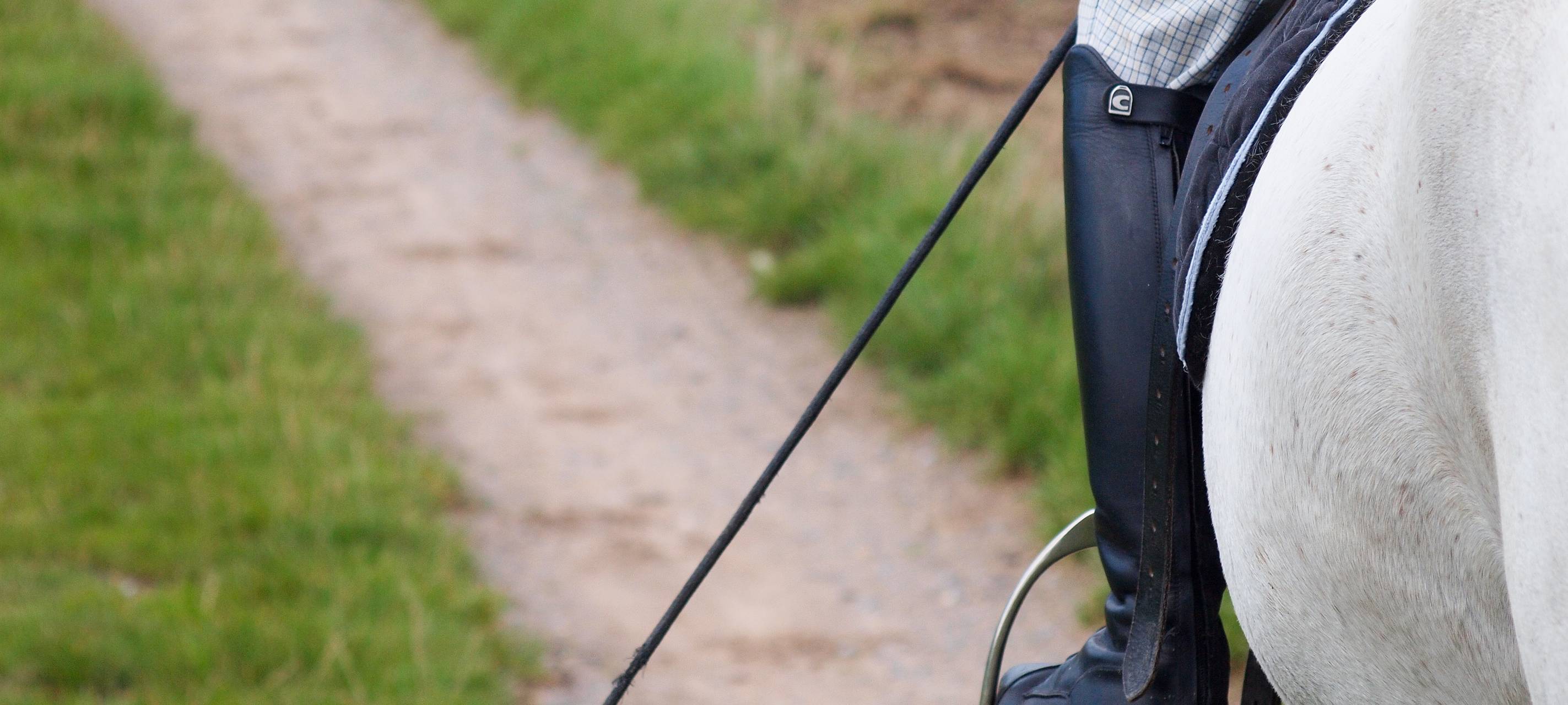 Reiterverein meldet sich nicht