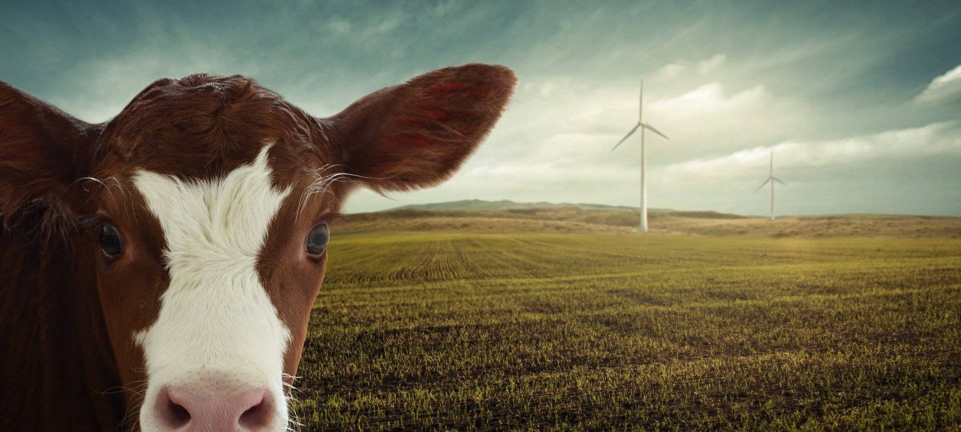 Kocht das Klima über?