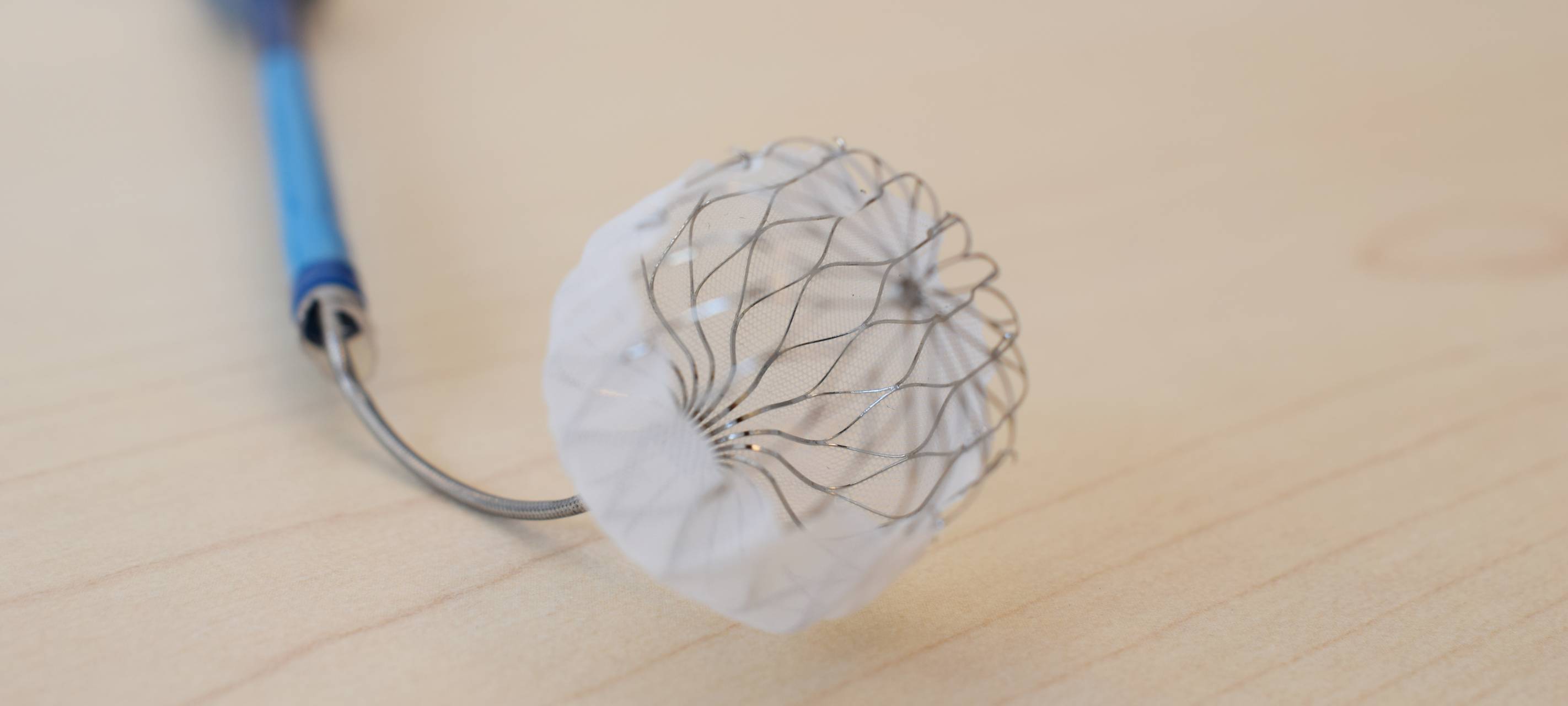 Schutz vor Schlaganfall